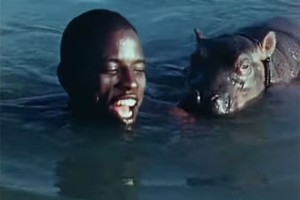 Bataille sur le grand fleuve