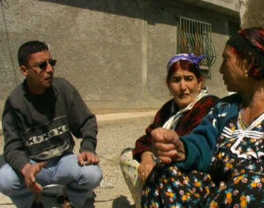 Et les arbres poussent en Kabylie