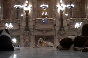 Les Ballets de ci, de la