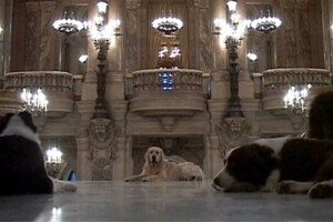 Les Ballets de ci, de la