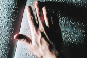 Le Singe de la lumière