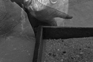 Mbuji-Mayi, l’ordre du polygone