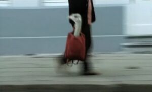 Panamarenko, portrait en son absence