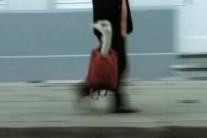 Panamarenko, portrait en son absence