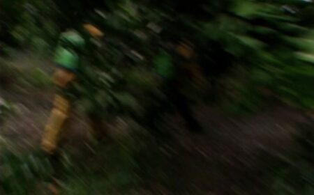 Walking Through Paradise