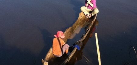 D’arbres et de charbon