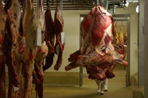 Le Cinquième quartier