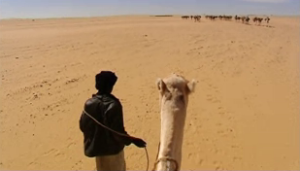 La Face cachée de la terre