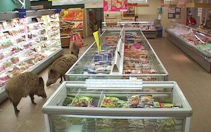 Supermâché, aire de Pique Nique