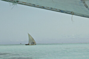 Zanzibar Musical Club