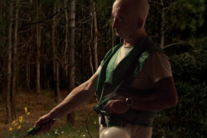 La Forêt de l’espace