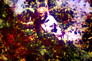 Milford Graves, Full Mantis