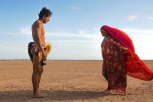 Les Oiseaux de passage