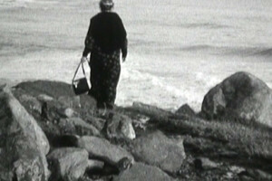 Les Racines du brouillard