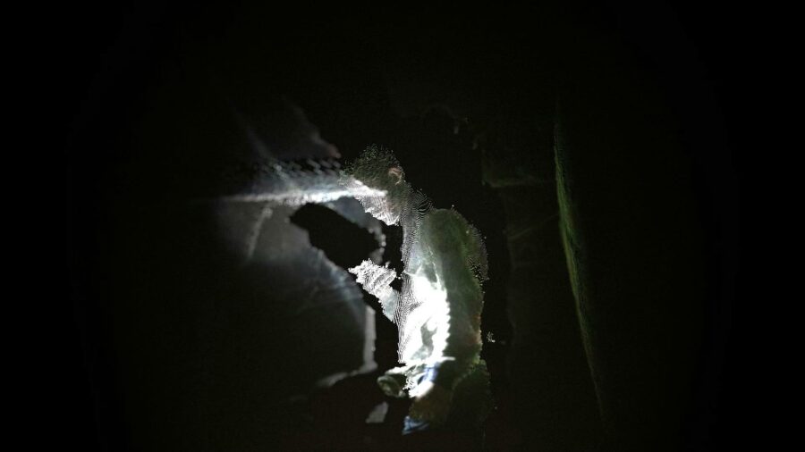 I Don’t Think I’m Alone in This