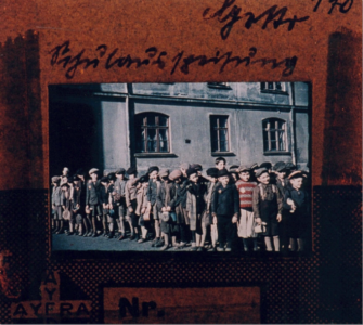 Fotoamator