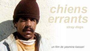 Chiens errants