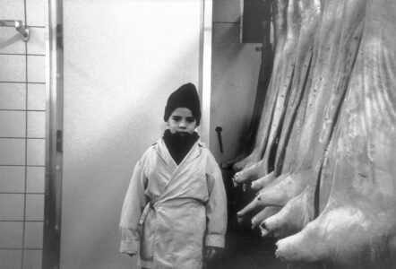 Autour de la mort d'un cochon