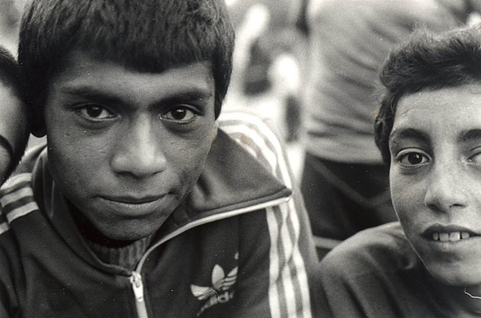 La Ballade du serpent, une histoire tsigane