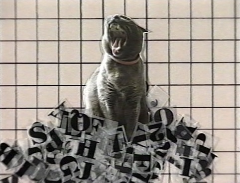 La Marelle de Chris Marker