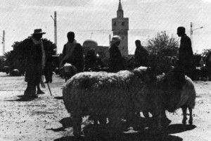 Un matin d'été à Matmata