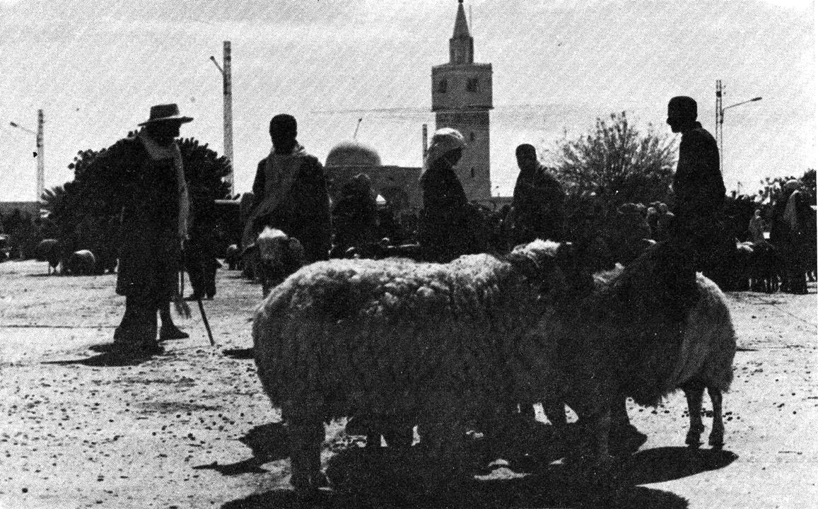Un matin d'été à Matmata