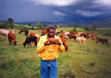 Le Roi, la Vache et le Bananier