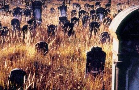 Un automne en Pologne