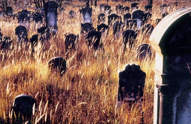 Un automne en Pologne