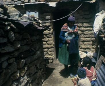 Dona Helena, Pailliri