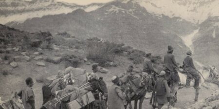 Grass : a Nation's Battle for Life