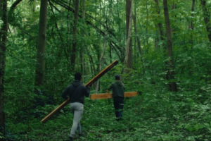 Jusqu'où la forêt
